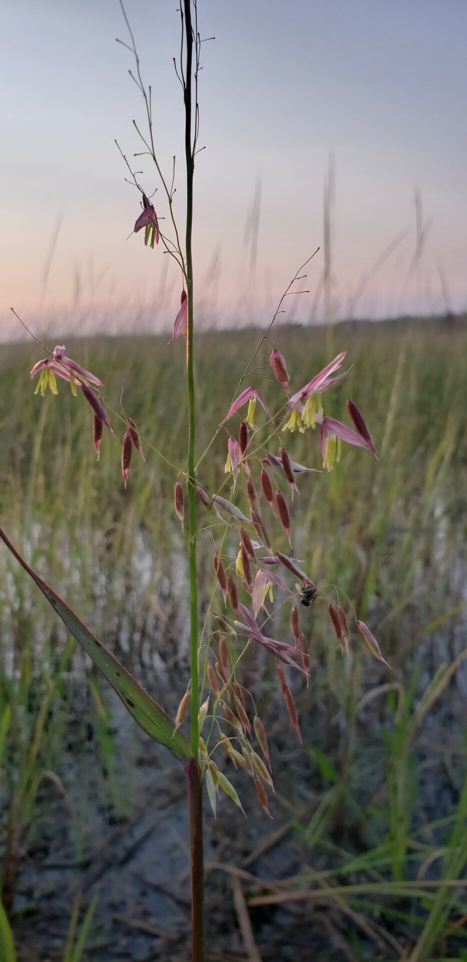 Catching spirits through a lens | Wisconsin Sea Grant
