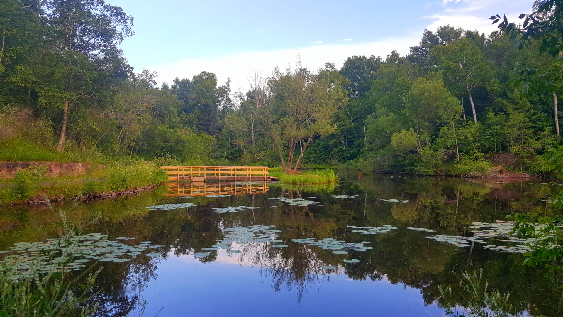 Discovering the magic of the St. Louis River Estuary | Wisconsin Sea Grant