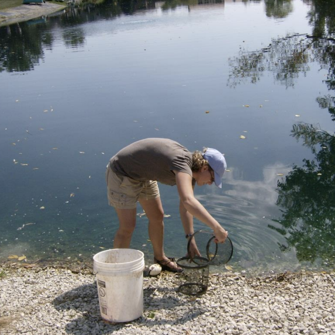 removal of crayfish from a pond
