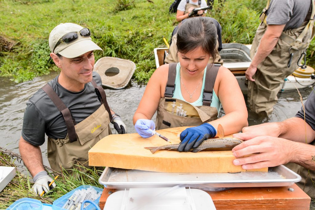 American Fisheries Society honors journal article based on Sea Grant