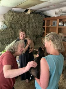 Three people in a barn with a baby goat.
