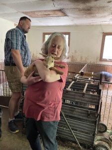 Linda Campbell holding baby goat