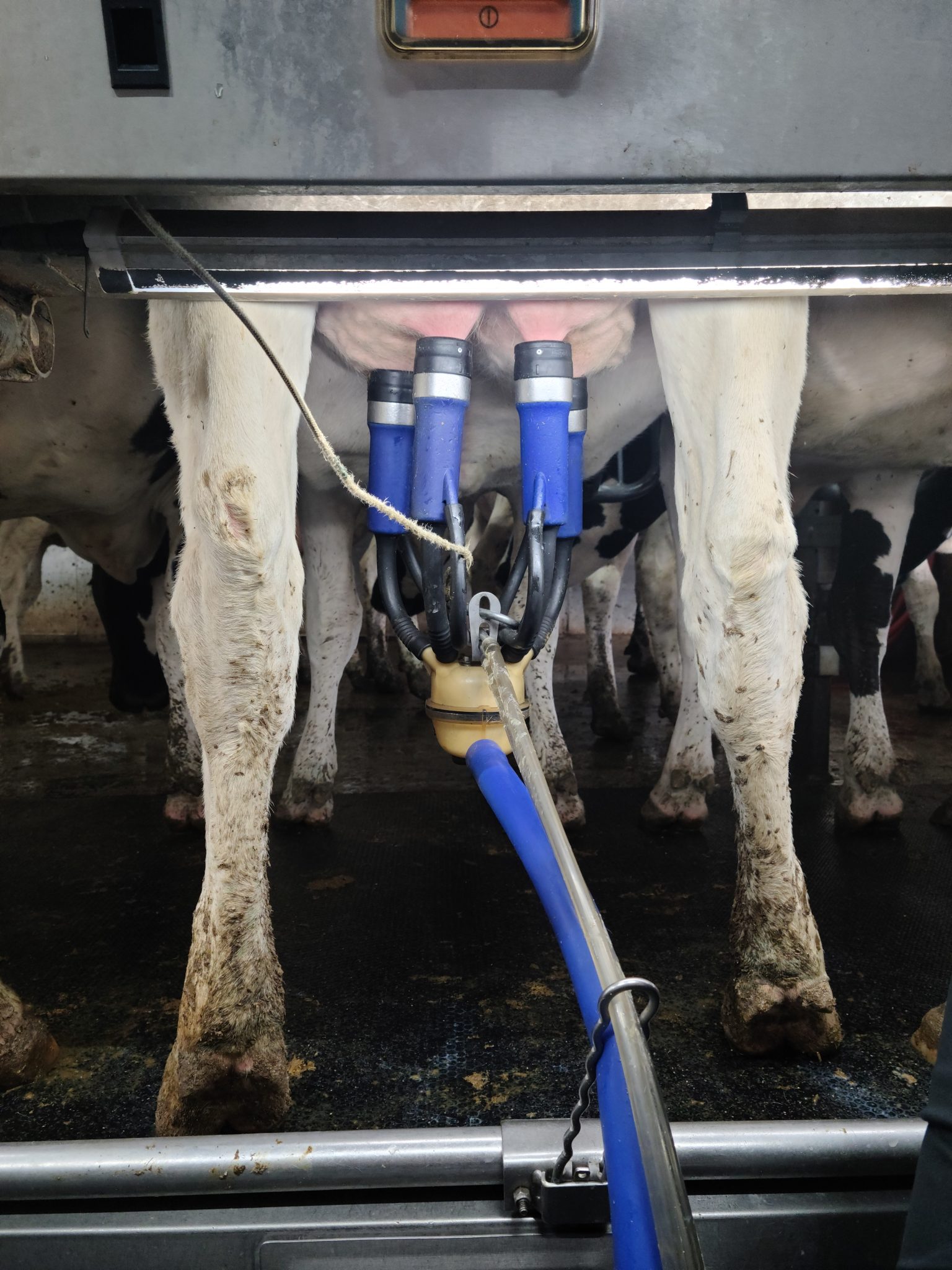 A Wisconsin Idea Adventure Part 2 Wisconsin Sea Grant