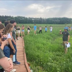 Large group of people in a grassy area.