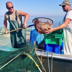 Two people on a boat holding a net heavy with fish.