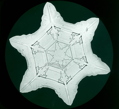 The formation and classification snowflakes