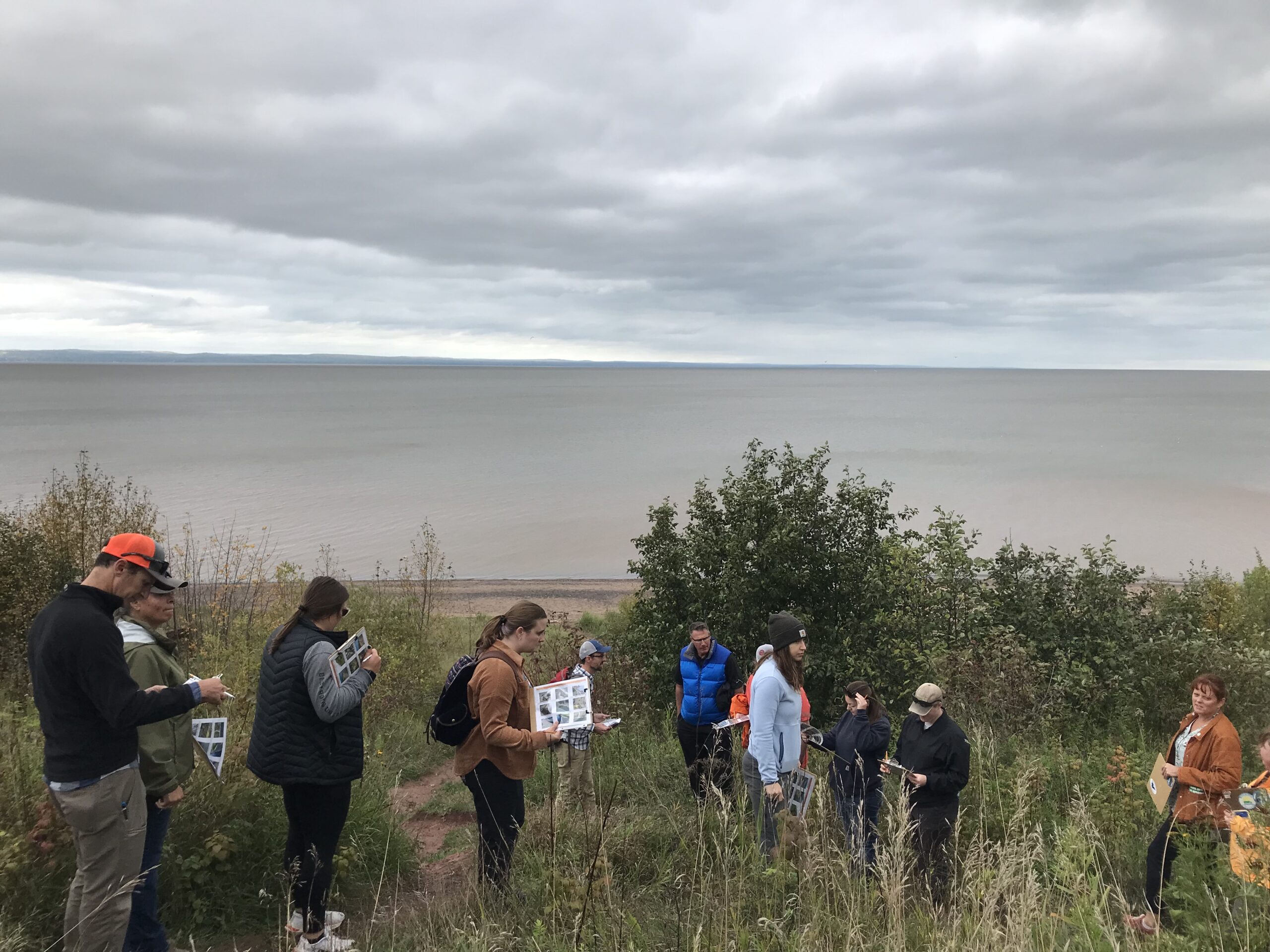A group of people in jackets and vests maneuver down a bluff along Lake Superior with clipboards in hand.