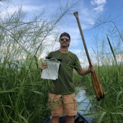 Person standing in a canoe in a stand of wild rice. Submitted photo.