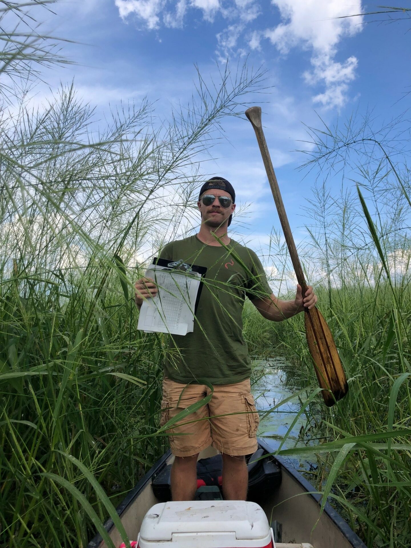 Person standing in a canoe in a stand of wild rice. Submitted photo.