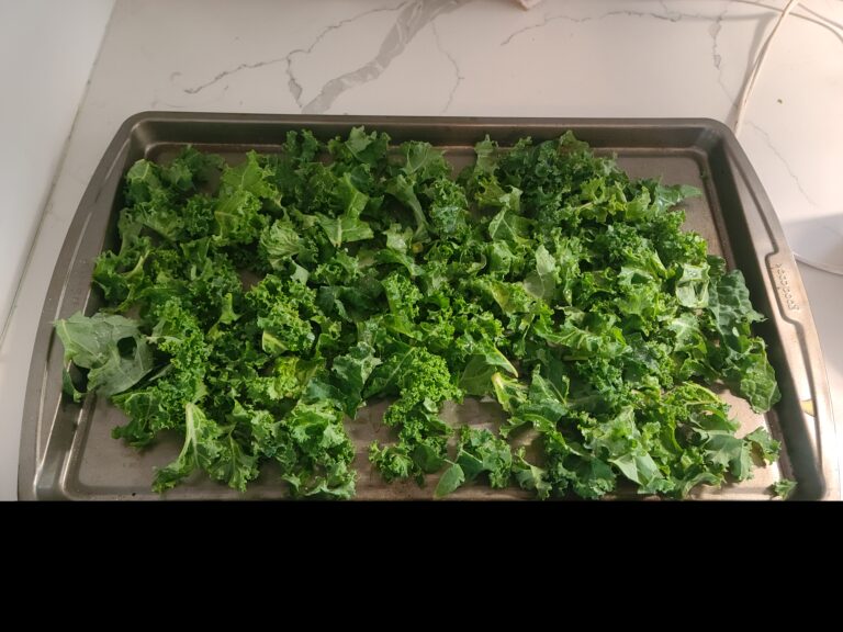 The kale, ready to go into the oven. Image credit: Marie Zhuikov, Wisconsin Sea Grant