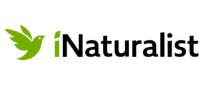 iNaturalist logo