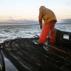 A fisher in bright orange work clothes cleans a fishing net