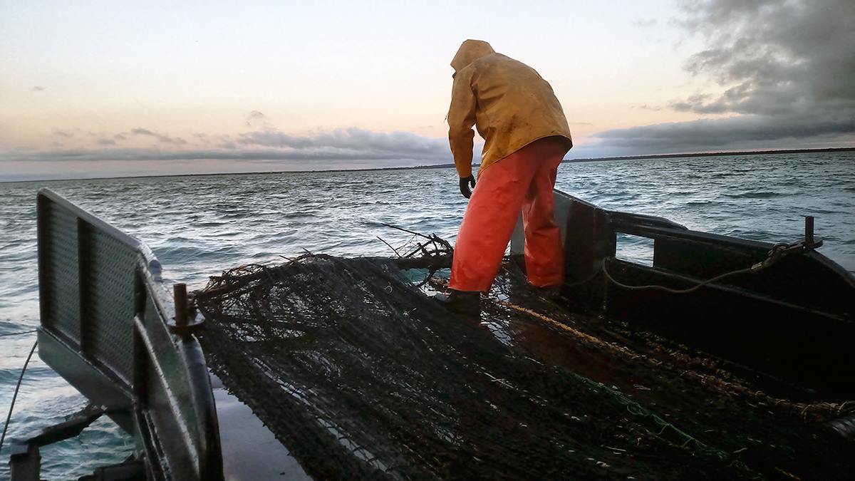 A fisher in bright orange work clothes cleans a fishing net