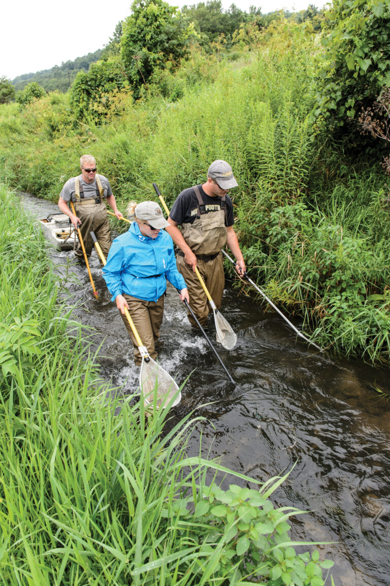 Wisconsin Department of Natural Resources fisheries technicians collect trout from a creek near Viroqua, Wisconsin. Image credit: Bryce Richter, UW-Madison