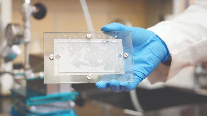 Semipermeable membrane being shown in a lab.