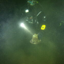 Diver Tim Pranke holds up the bell from the shipwreck of the Little Harbor launch