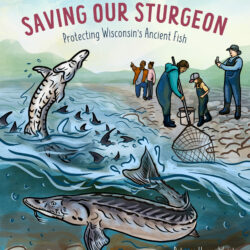 Cover of Saving our Sturgeon showing an illustration of big fish jumping out a river
