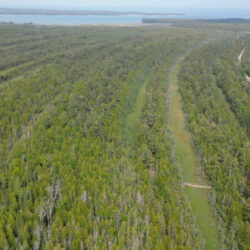A drone photo of a ridge and swale ecosystem from above, showing parallel strips of forest and wetland next to Lake Michigan.