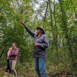 A man in a blue shirt and hat points toward the tree canopy.