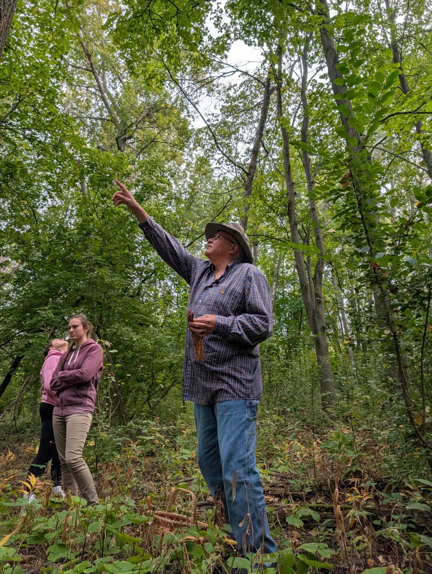 A man in a blue shirt and hat points toward the tree canopy.