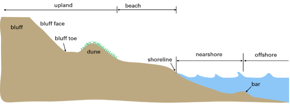 Drawing of typical coastal features including the upland, beach, nearshore, and offshore areas. With the location and coastal profile of bar, shoreline, dune, bluff, bluff toe, and bluff face depicted. Refer to document text for definitions.