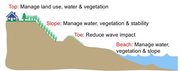 Drawing of a home on top of a bluff. The home has a rain barrel. The home is set well back from the edge of the bluff. The flat bluff top plateau is vegetated with trees and grasses, the bluff slope is also vegetated. A dune is located on the beach near the bluff toe. The dune is vegetated. The beach itself is not vegetated and is the location that waves impact. Top: Manage land use, water & vegetation Slopes: Manage water & vegetation Toe: Reduce wave impact Beach: Manage water, vegetation & slope