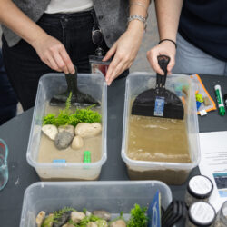 Students experiment with two wave tanks, plastic containers, about the size of a shoe box with sand and water. One contains rocks and plastic vegetation.