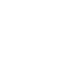 Day of the Badger logo.